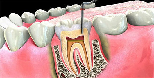 Best Dental Clinic